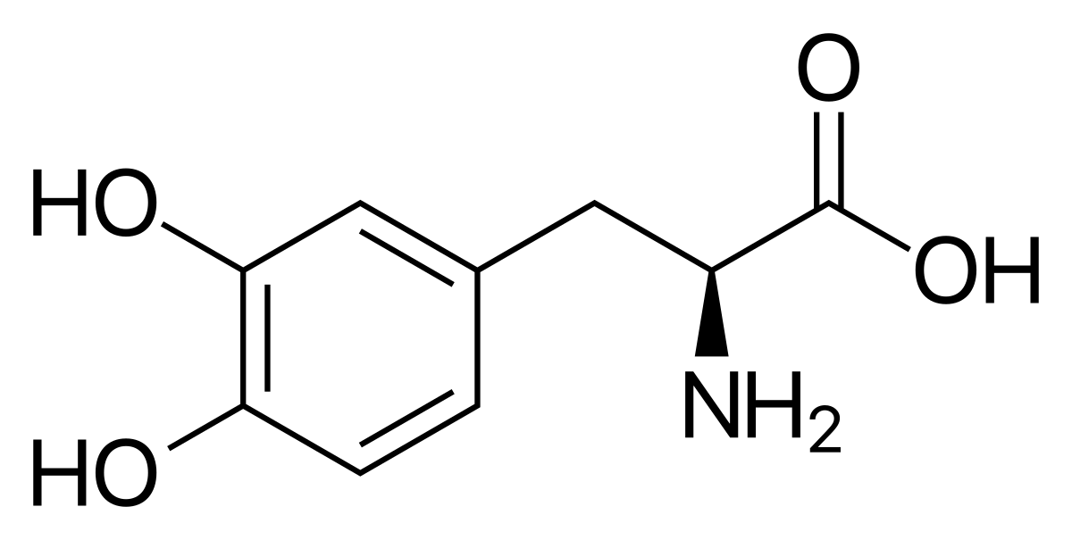 Lドーパ
