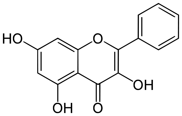 ガランギン