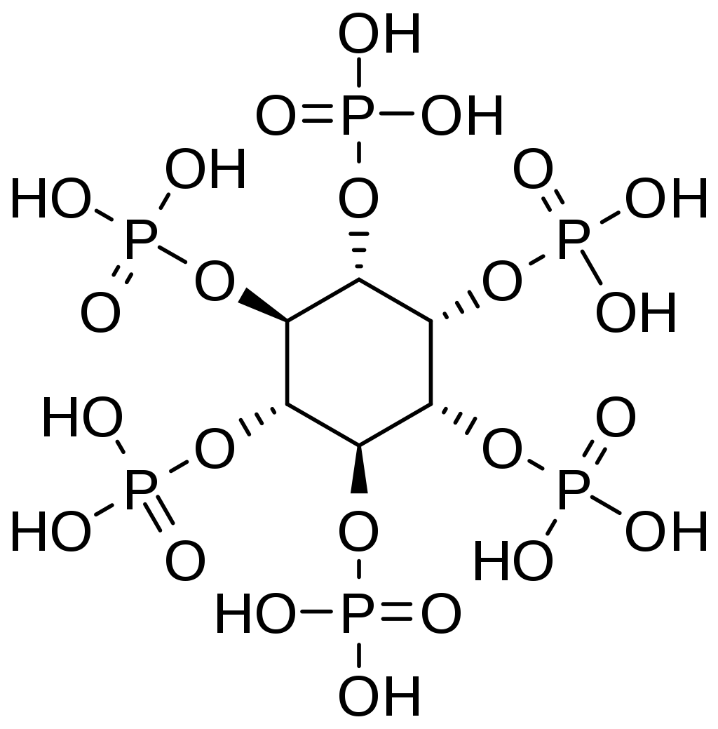 フィチン酸
