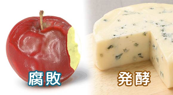 腐敗と発酵