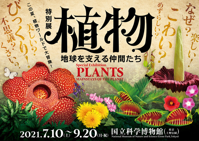 植物展