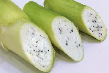 マコモダケ