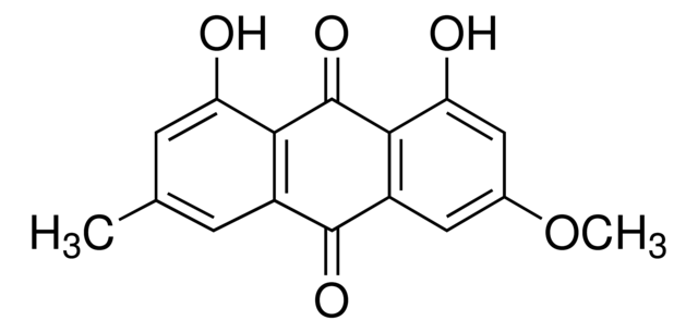 フィシオン