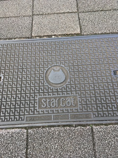 ニャンコマンホール