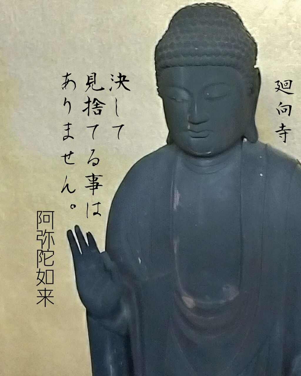 摂取不捨