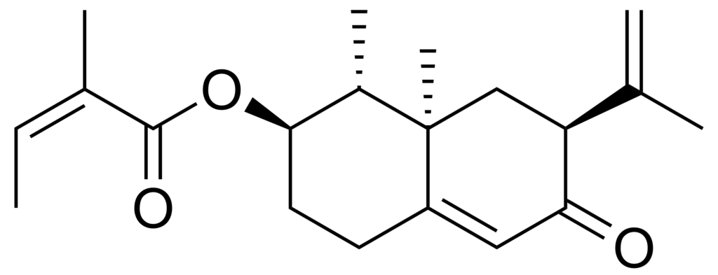 ペタシン